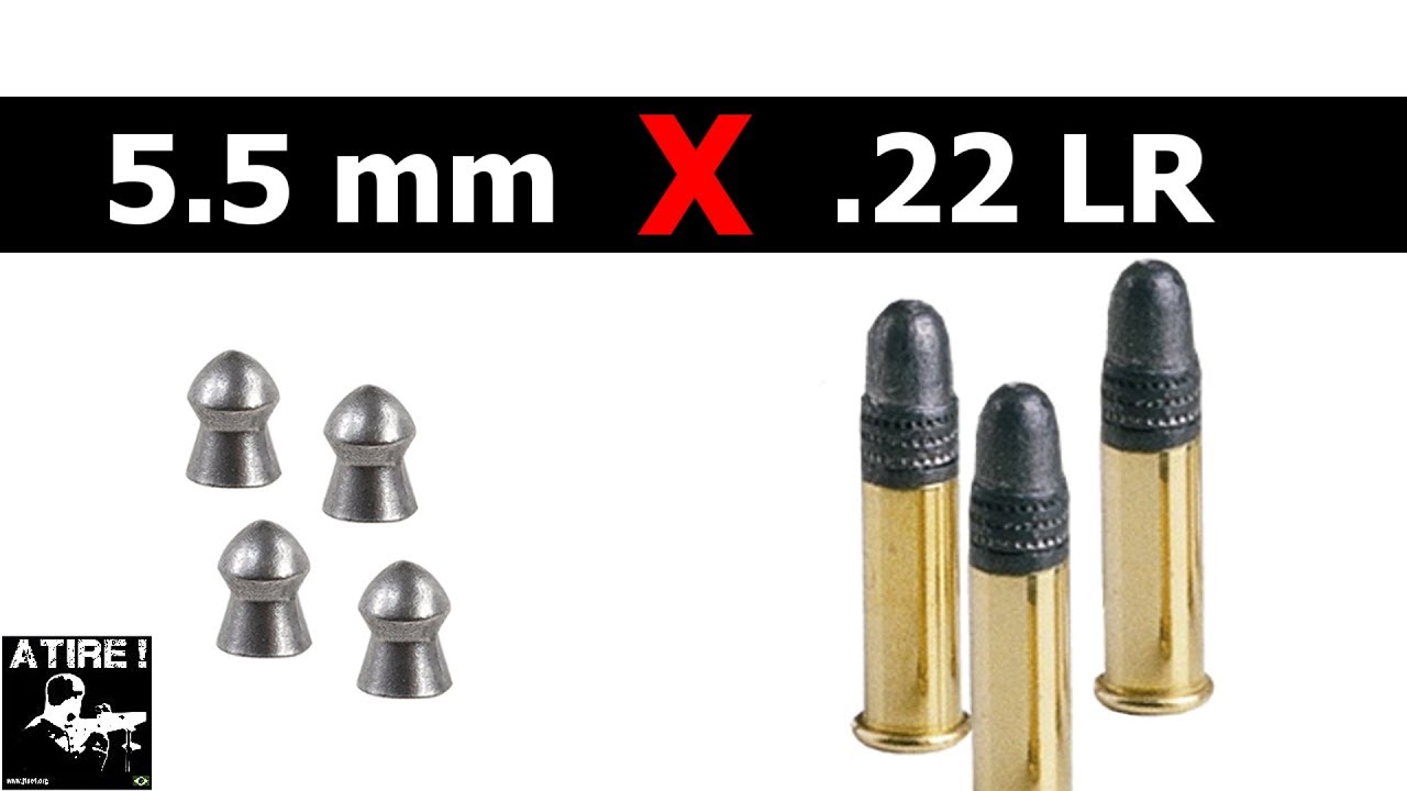 Arma de pressão contra arma de fogo!!! 5.5 e 22 LR são mesmo parecidos?