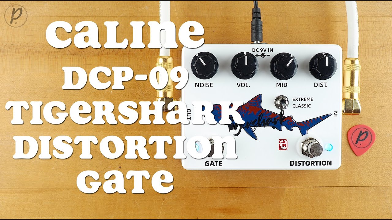 Caline DCP-09 Tigershark Distortion Gate