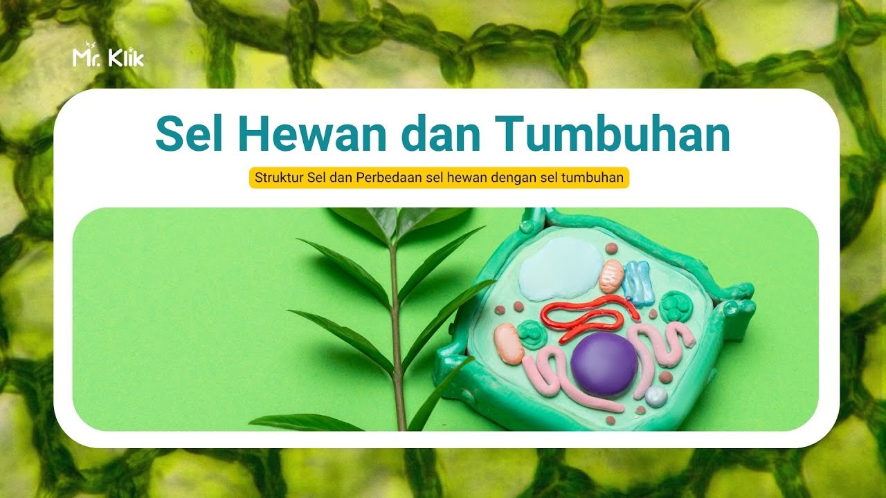 Sel Hewan vs. Sel Tumbuhan: Struktur, Organel & Perbedaan Kunci
