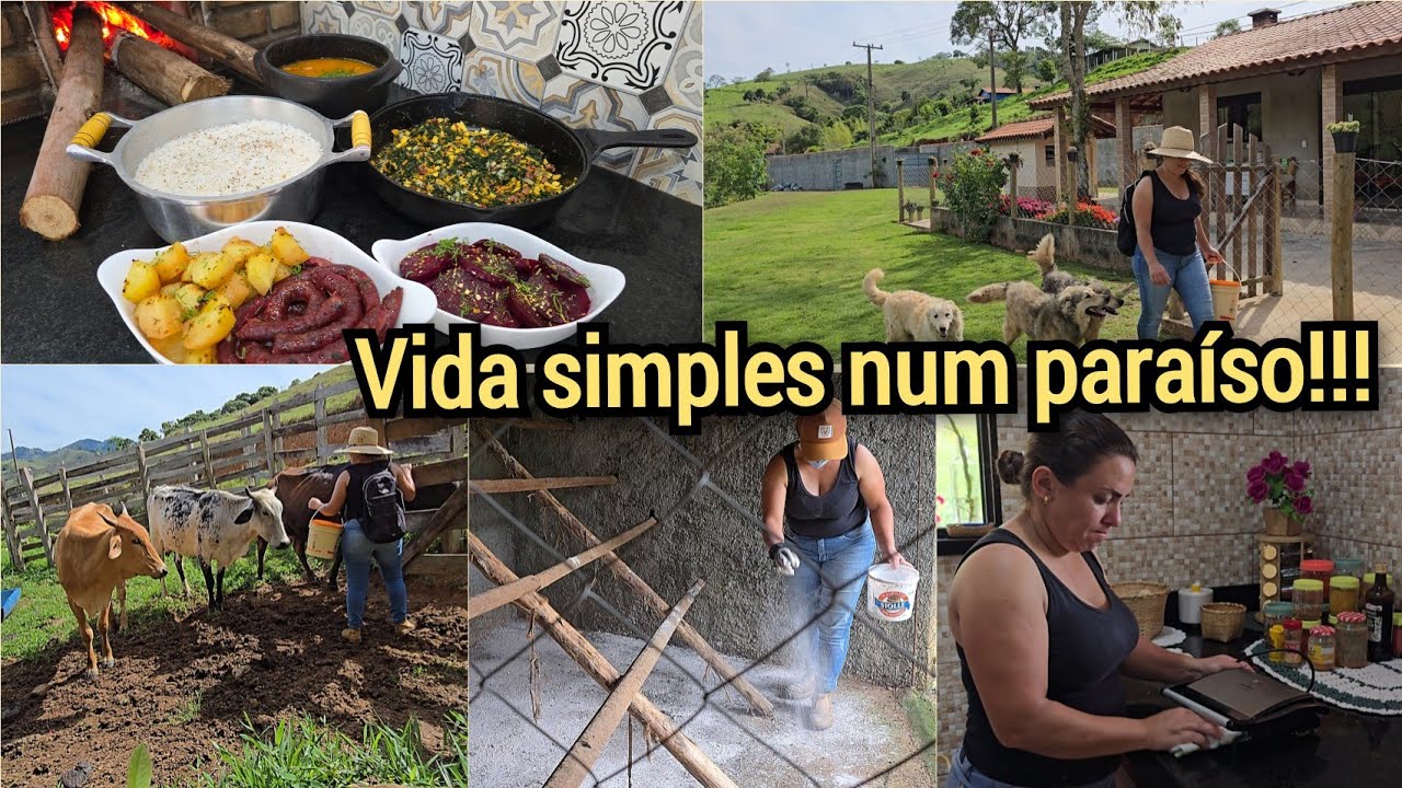 CUIDANDO DA BICHARADA/ORGANIZAÇÃO DA CASA/FAXINA NO GALINHEIRO/COMIDA NO FOGÃO A LENHA 