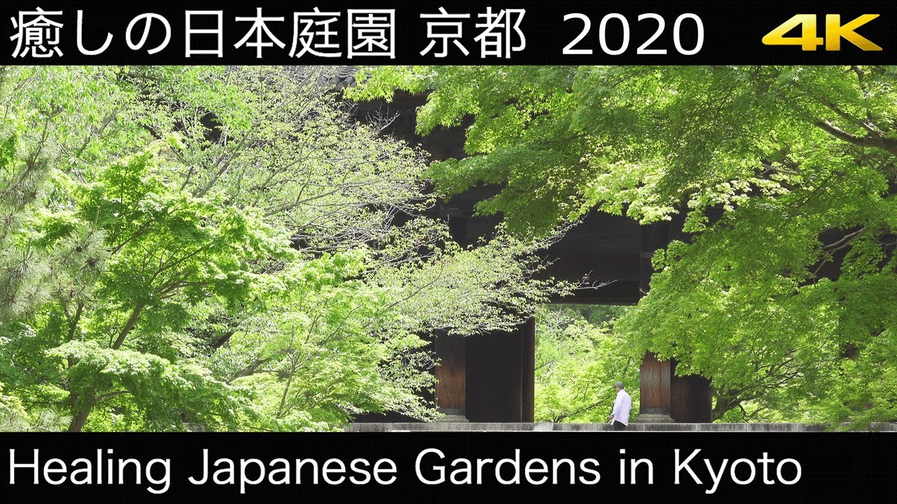 [4K] 癒しの日本庭園 京都 2020 Healing Japanese Gardens in Kyoto