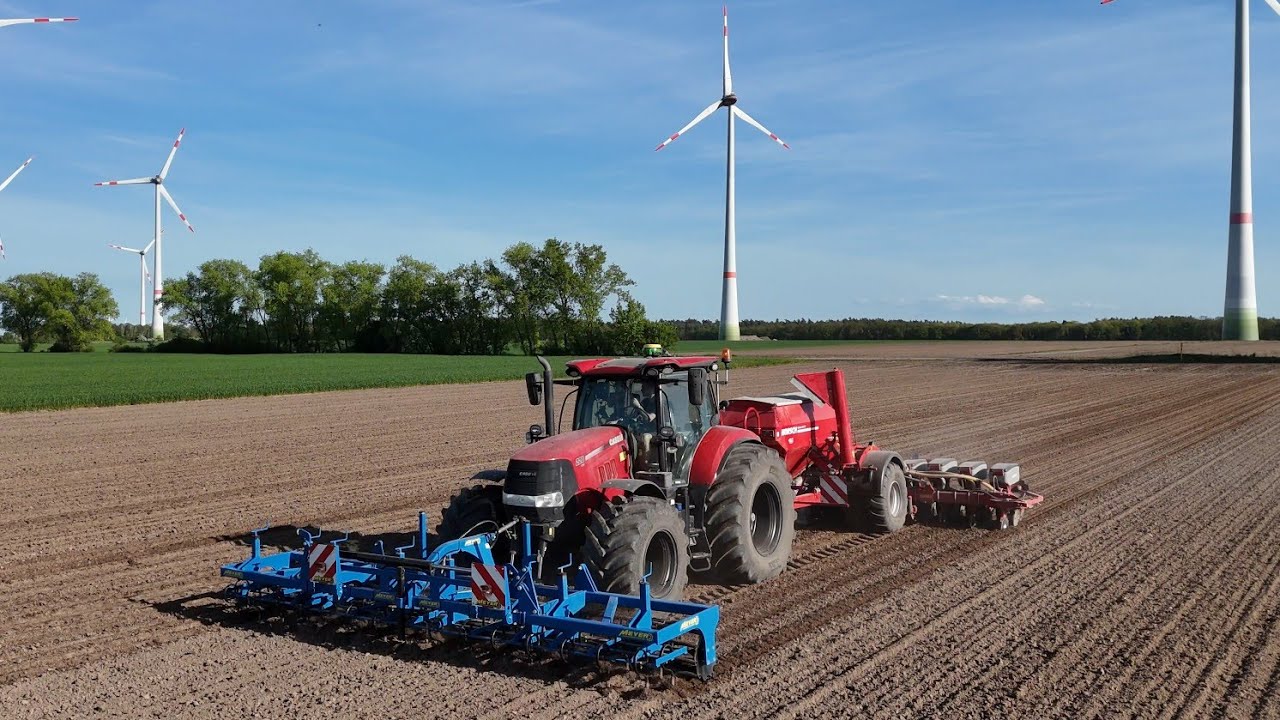 CASE PUMA 220 mit HORSCH MAESTRO 12.45 CC & MEYER Frontgrubber / Mais legen 2024 / 4K