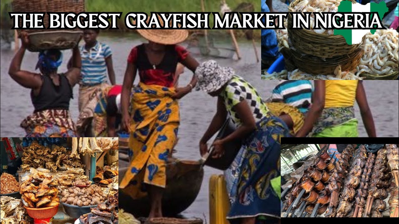 NIGERIA’S BIGGEST CRAYFISH MARKET! (CALABAR CITY, NIGERIA )