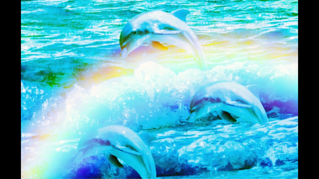 Relax Dolphin Energy Healing Music