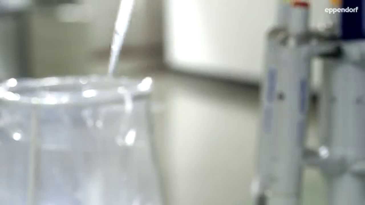 How to pipette viscous liquids with the Multipette&reg;/Repeater&reg; M4 dispenser and Combitips&reg; advanced