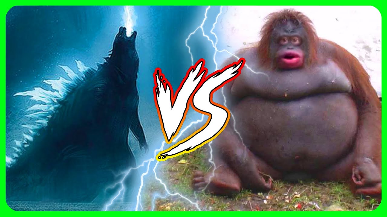 Godzilla vs Kong explained by an idiot