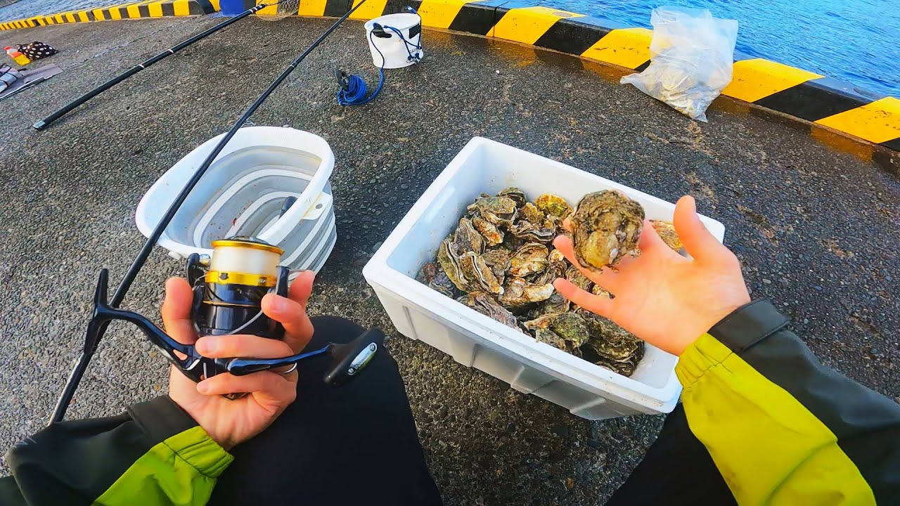 真冬でも足元で高級魚が釣れるかぶせ釣りが面白い！
