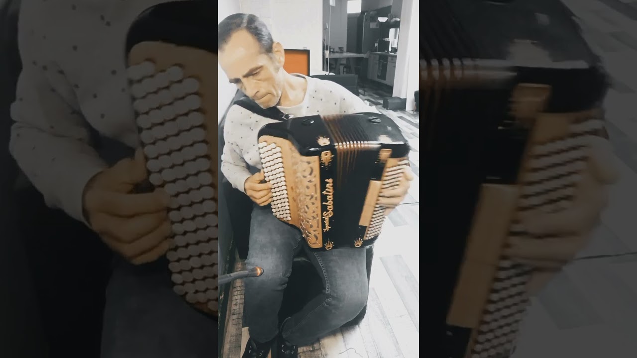 Amoureuse de Véronique Sanson.            cover Accordéon