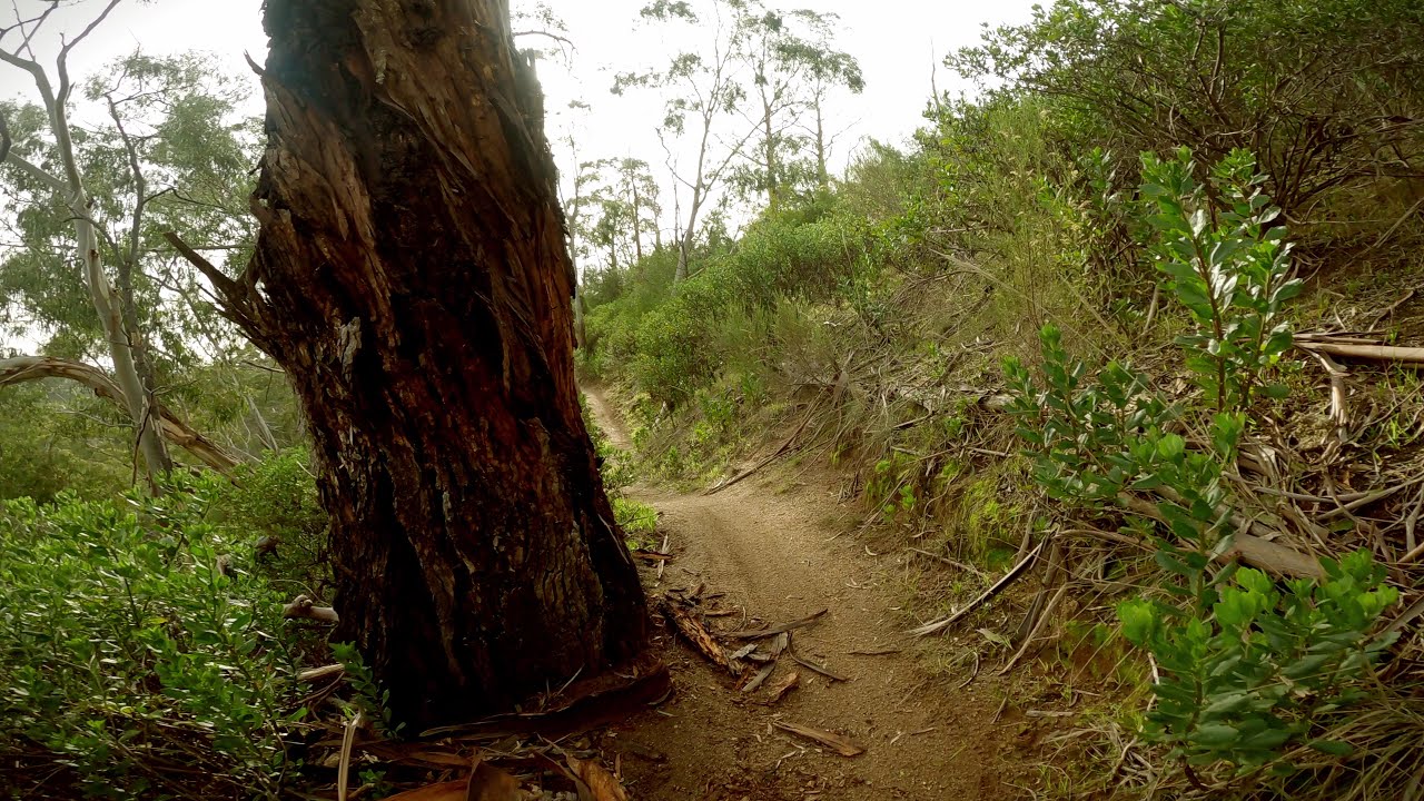 Plenty Gorge - Goat Track (Both Directions)