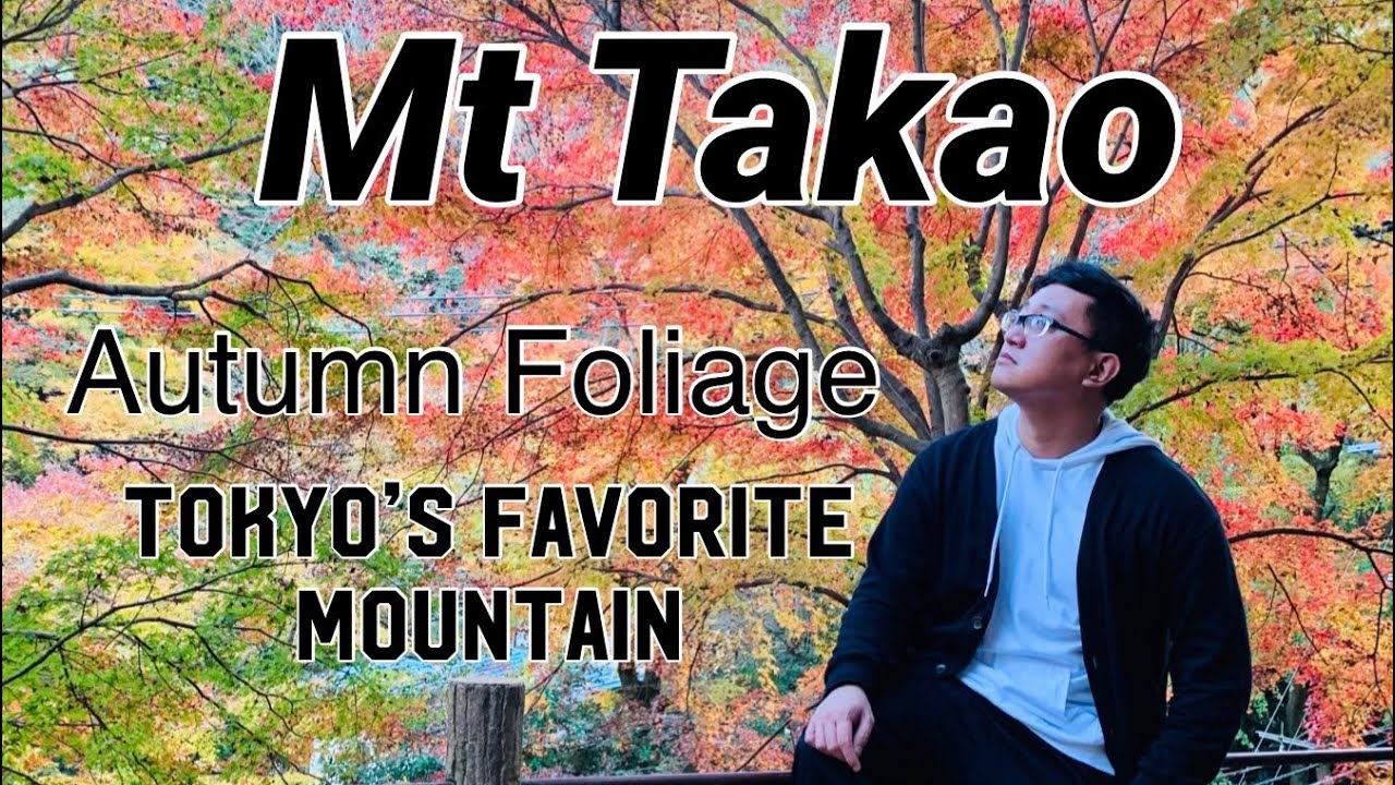 Mt Takao | Autumn Foliage | Tokyo’s Favorite Mountain