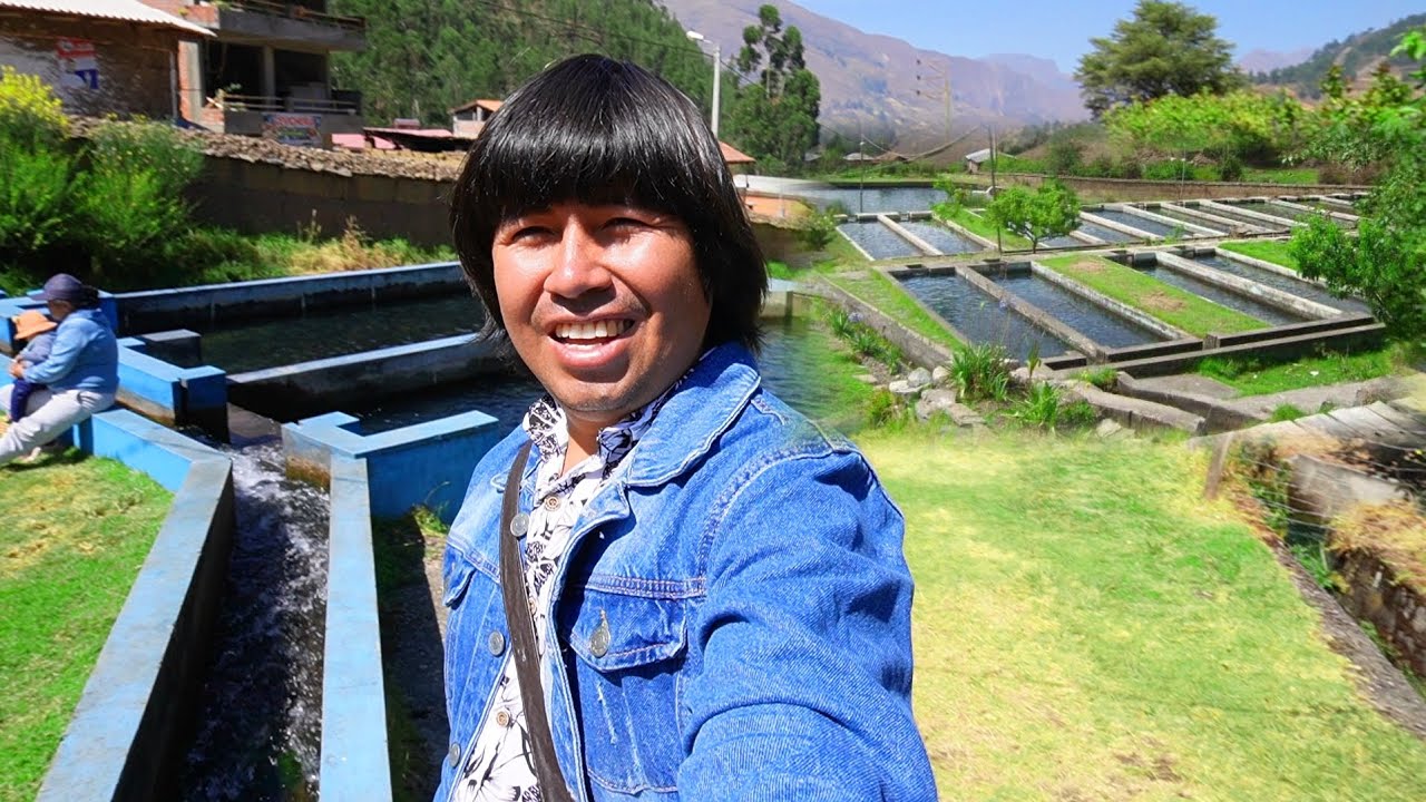 PISCIGRANJA de TRUCHAS en acopalca-huari.