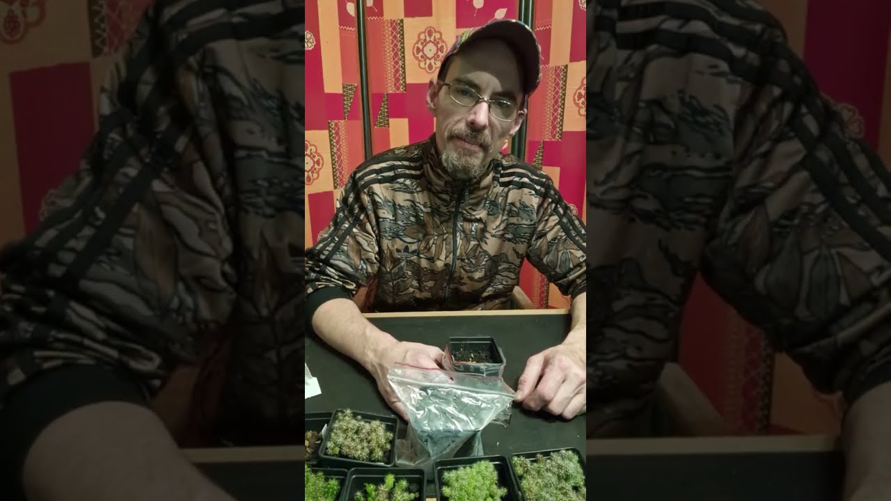 Cactus Livestream / General Q&A / Sowing out & vegetables (Patrick Noll) February 10th, 2026