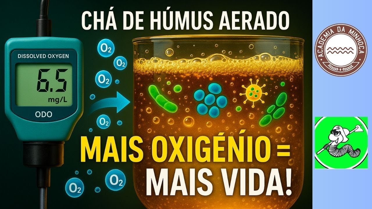 Microrganismos Vivos no Chá de Húmus? Só com Boa Oxigenação!