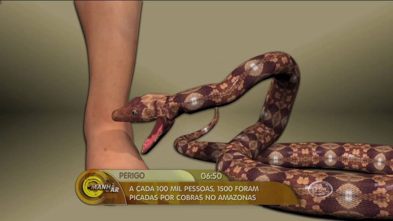 PLANTA TEM O PODER DE NEUTRALIZAR VENENO DE COBRA - Manhã no Ar 06/09/16