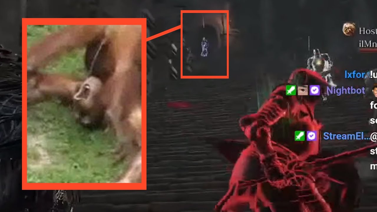 [Dark Souls 3] When the Blue Sentinel is the Shitter on an already Solid Gank