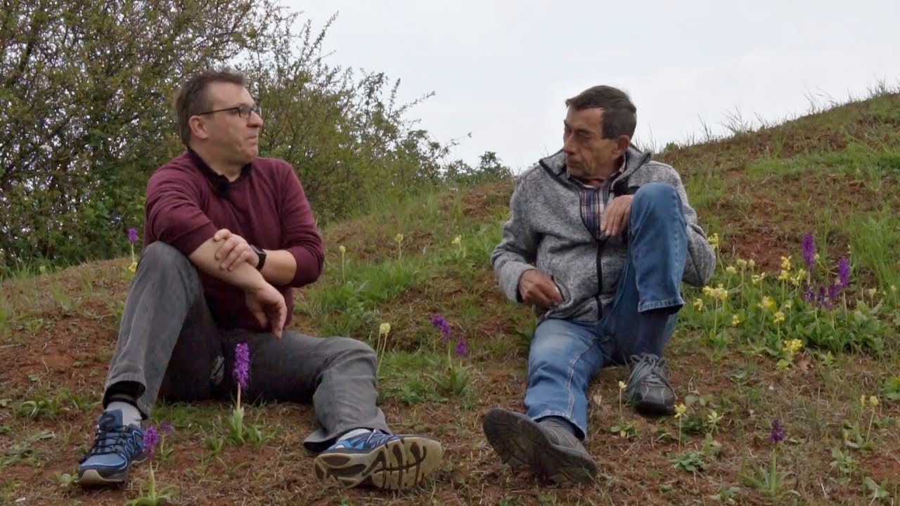 Volker Schadach im Interview