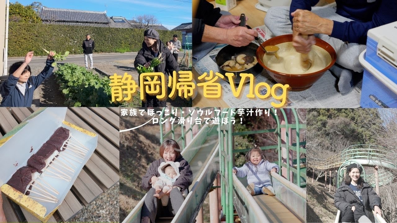【帰省vlog】姪っ子いとちゃんつきちゃんの成長につくづく感動するおばちゃん😭・ソウルフード芋汁を食べる・おばさんちの畑で大根掘り・ロング滑り台で遊ぶ　#vlog　#JUNKISSA　＃法多山