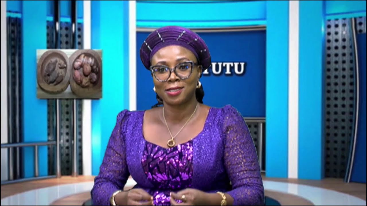 OJI UTUTU ON ABUJA COUNCIL ELECTION | NTA IGBO