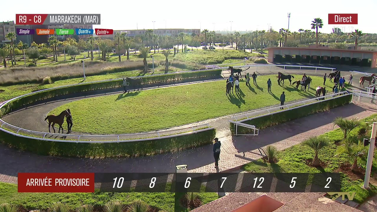 Live Hippodrome « MARRAKECH » Courses du « 01/02/2026 »