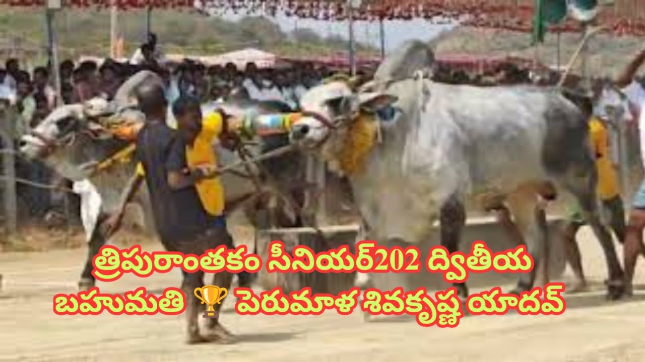 7) పెరుమాళ్ శివకృష్ణ యాదవ్