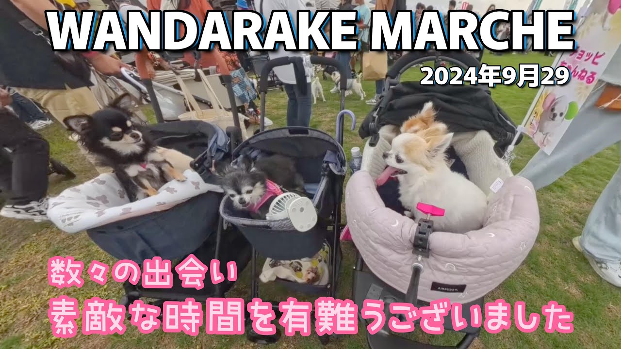 こんなに人前で泣いたのは生まれて初めてでした！皆様本当に有難うございます