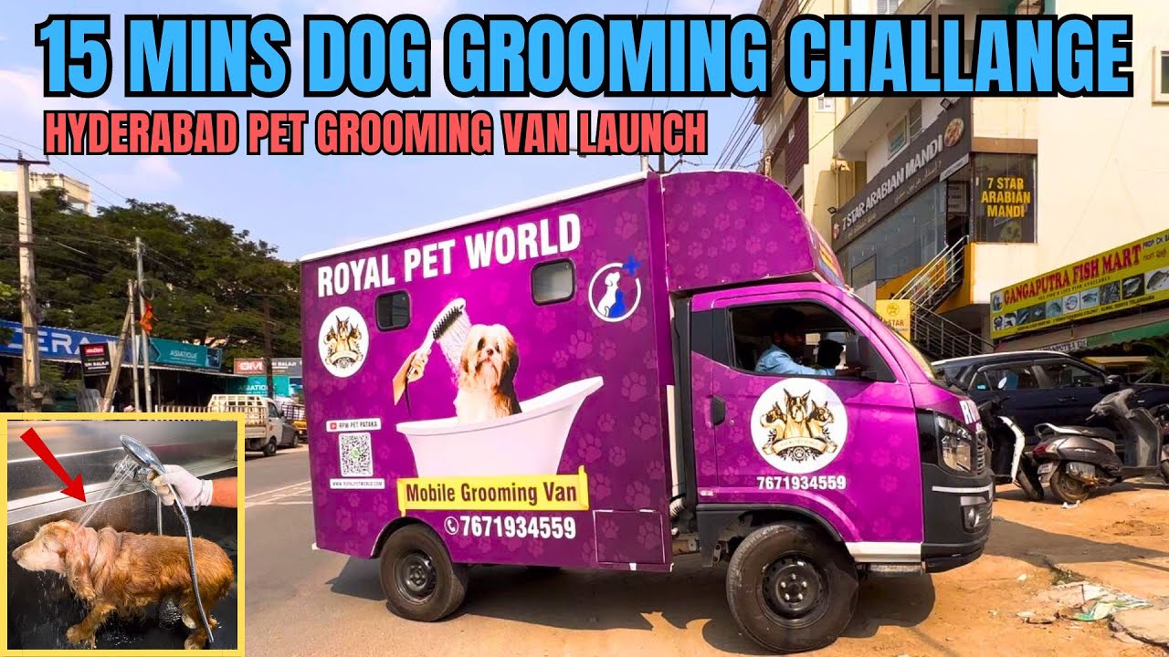 15 MINS DOG GROOMING AT HOME SEVICE CHALLANGE😍| HYDERABAD PET GROOMING VAN | DOG GRROMING VIDEOS