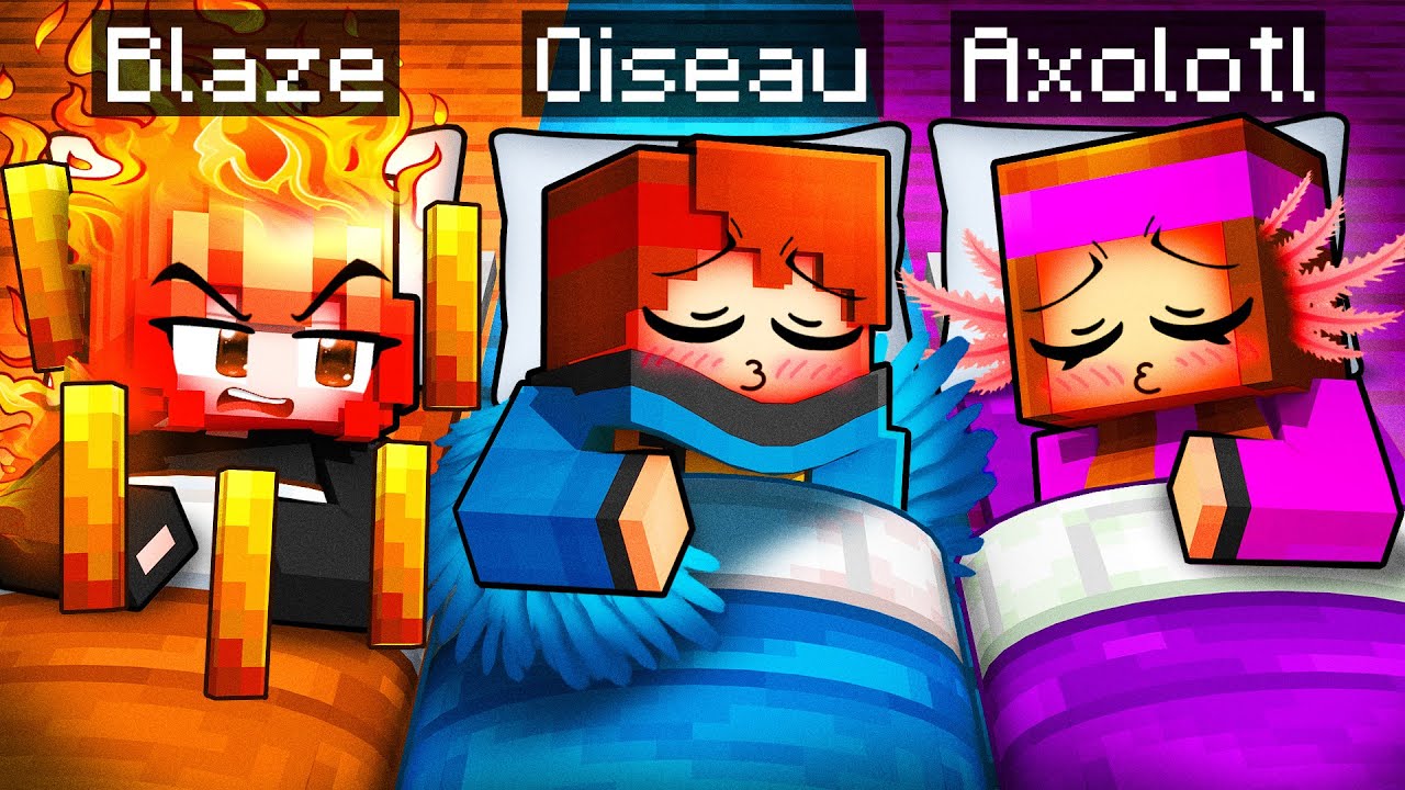 SOIRÉE PYJAMA avec mes FAN GIRLS en ANIMAUX sur Minecraft !