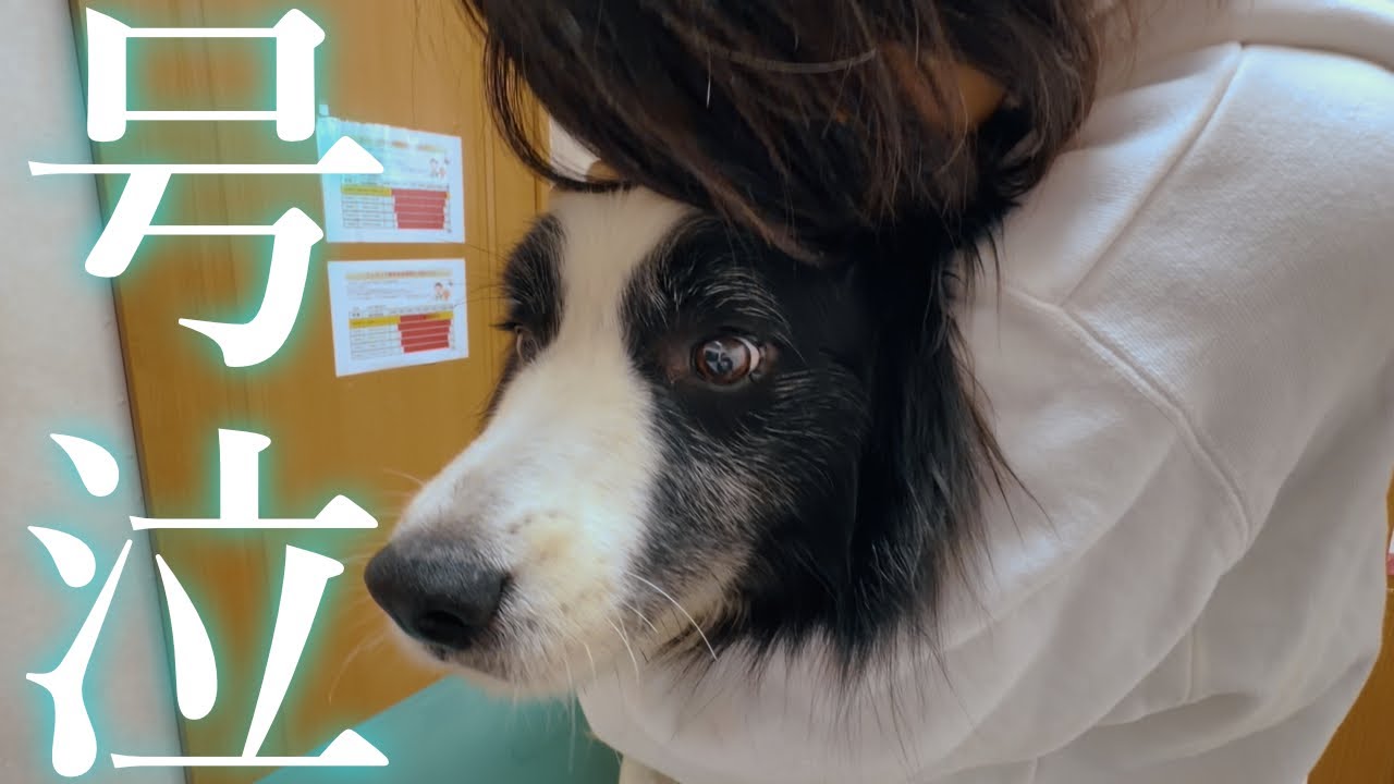 【閲覧注意】手術をすることになりました