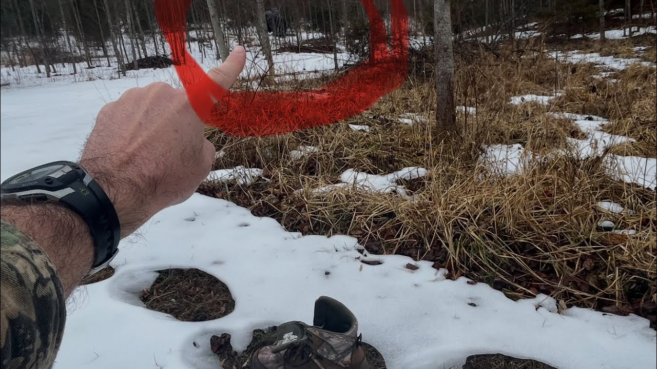 Focusing Too Much On The Tracks Rather Than The Creature That Left Them Nearly Cost Him His Life!