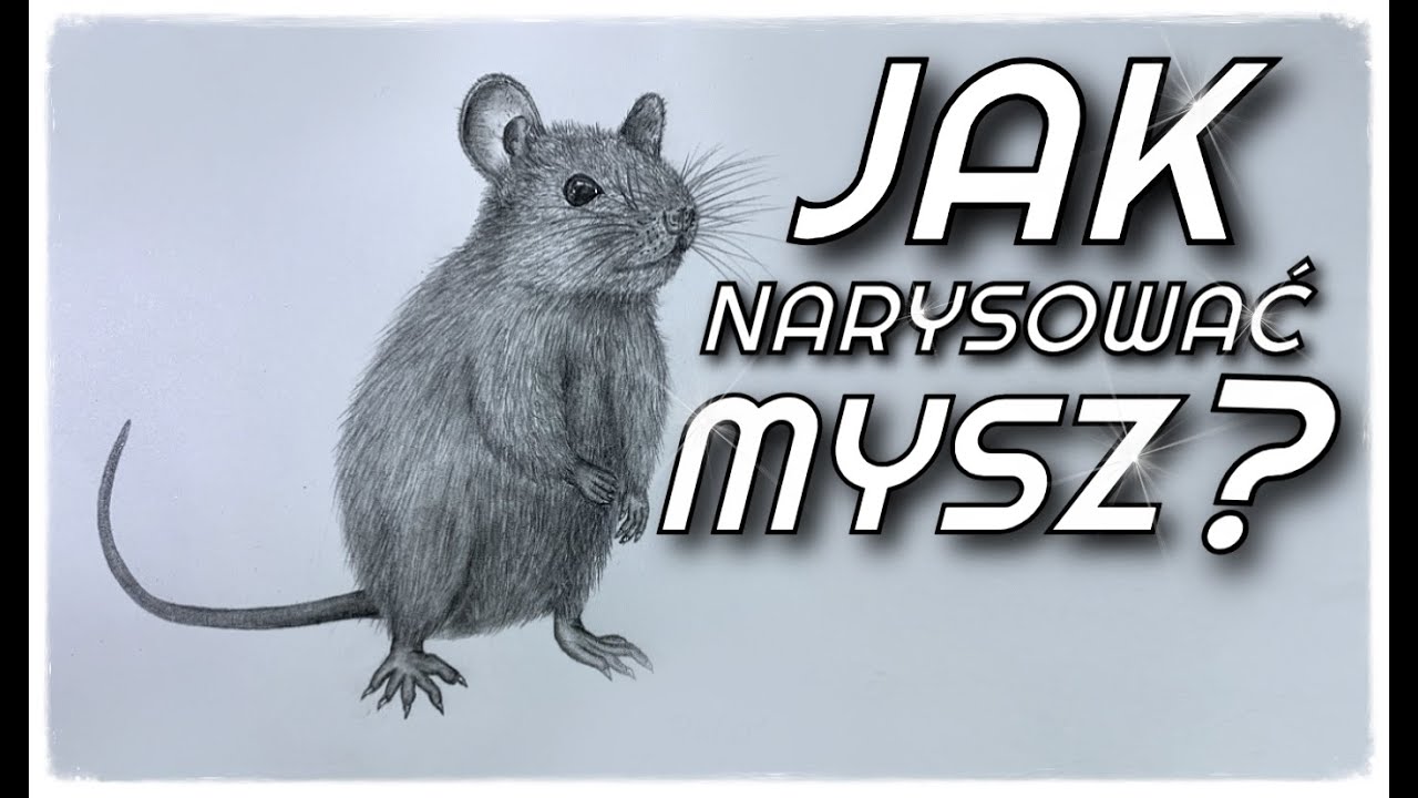Jak narysować mysz?✏️🐁✏️