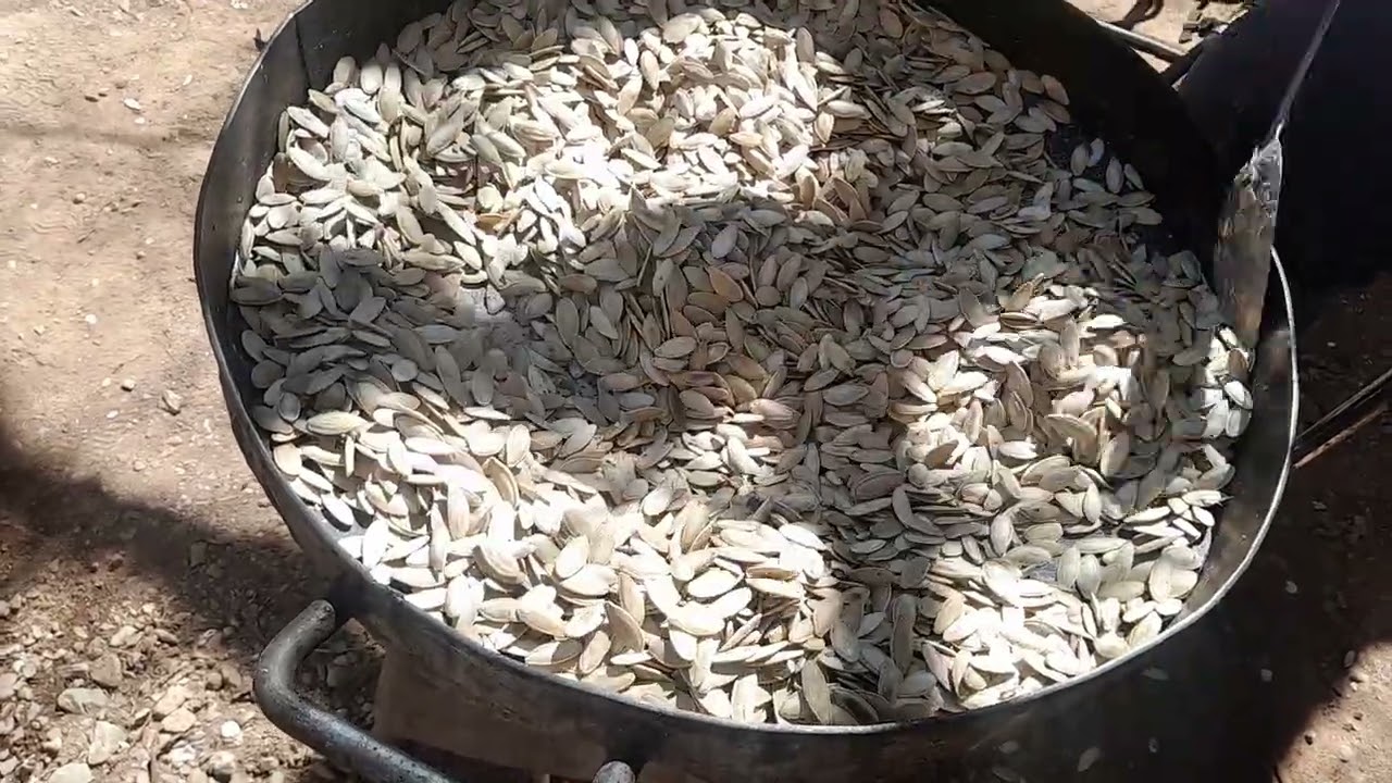 Aquí testando unas ricas semillas 