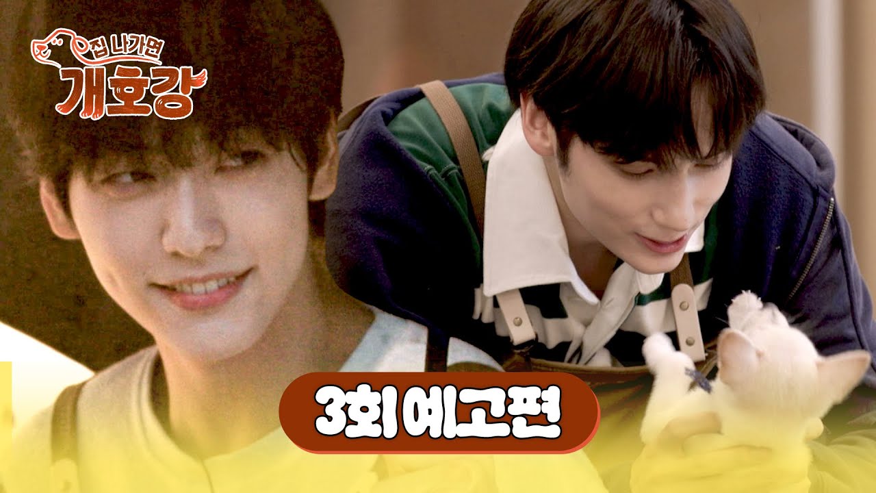 집 나가면 개호강 3회 예고편 - 댕치원 첫날, '수빈 & 휴닝카이' 선생님의 등장🐾