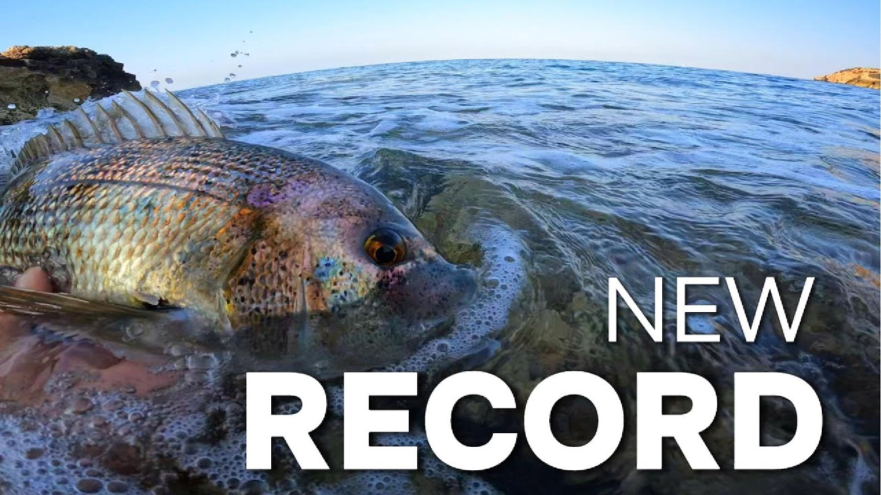 ¡¡¡Nuevo RECORD personal!!! PEZ XL y MUCHA actividad...