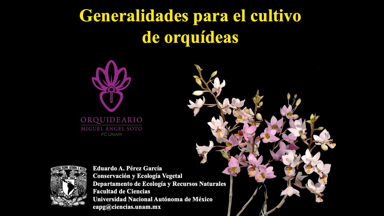 Generalidades para el cultivo de orquídeas