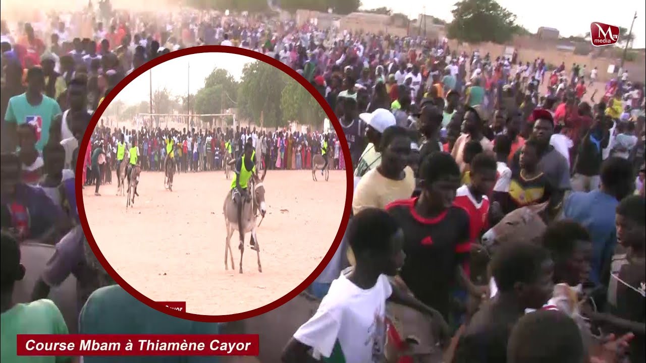 🔴 Incroyable !!! Course Mbam  à THIAMÈNE CAYOR 🤣