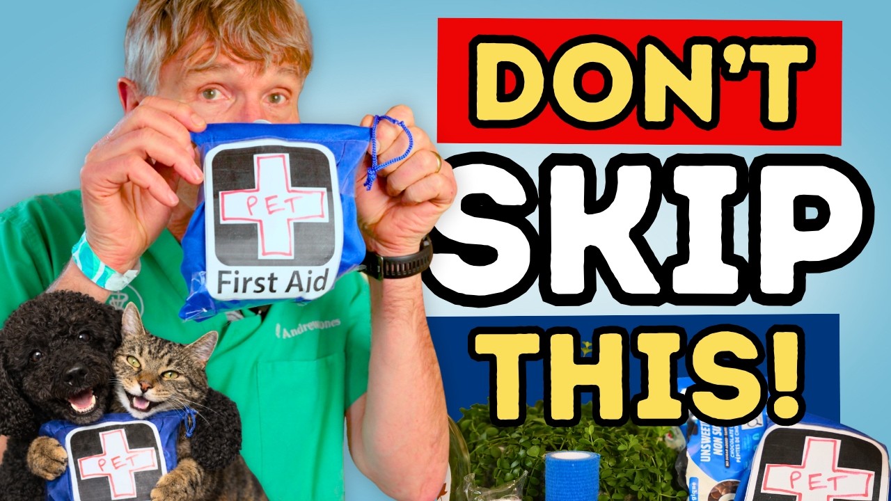 You Cannot Not Have This If You Have Pets at Home
