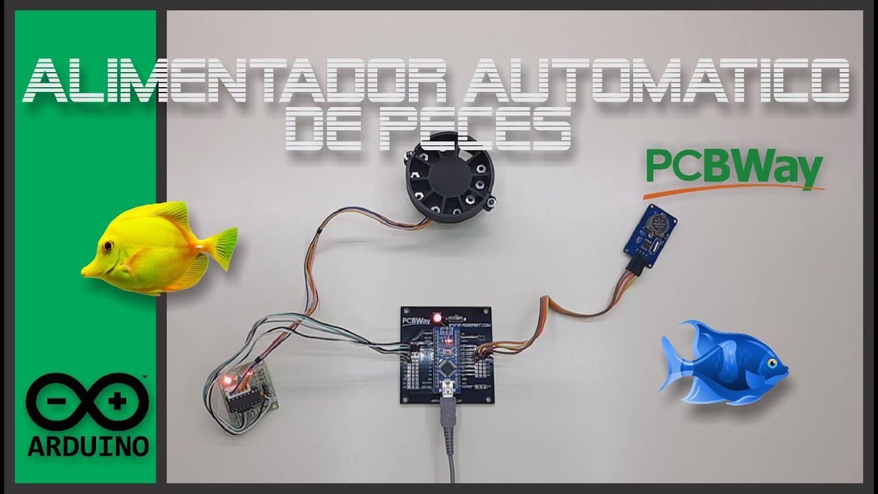 🐟🐠 Como hacer un alimentador automático de peces 🐠🐟