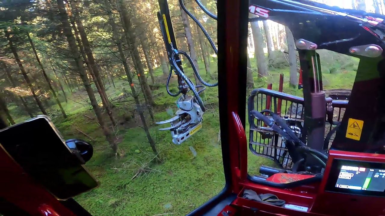 Erstdurchforstung mit Alstor 840 Pro und Hypro FG45 | Cap view | Teil 1