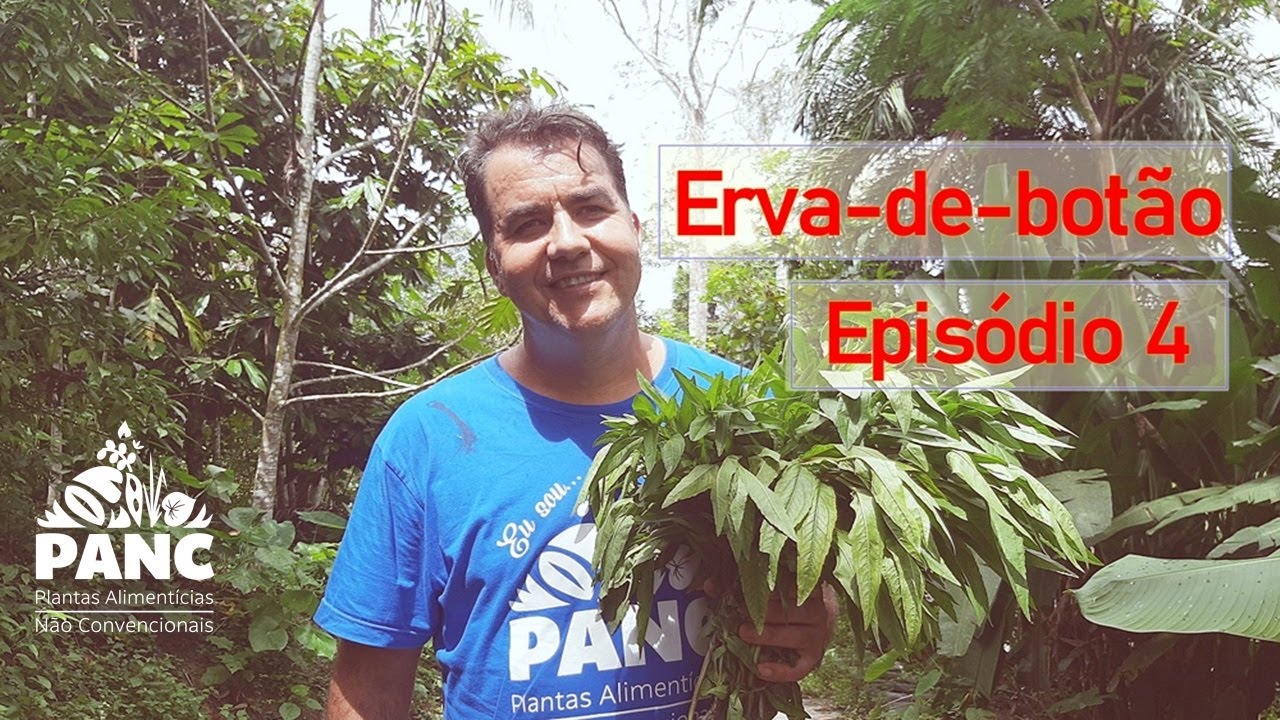 EPISÓDIO 4 - ERVA-DE-BOTÃO | #pancnaveia #valdelykinupp