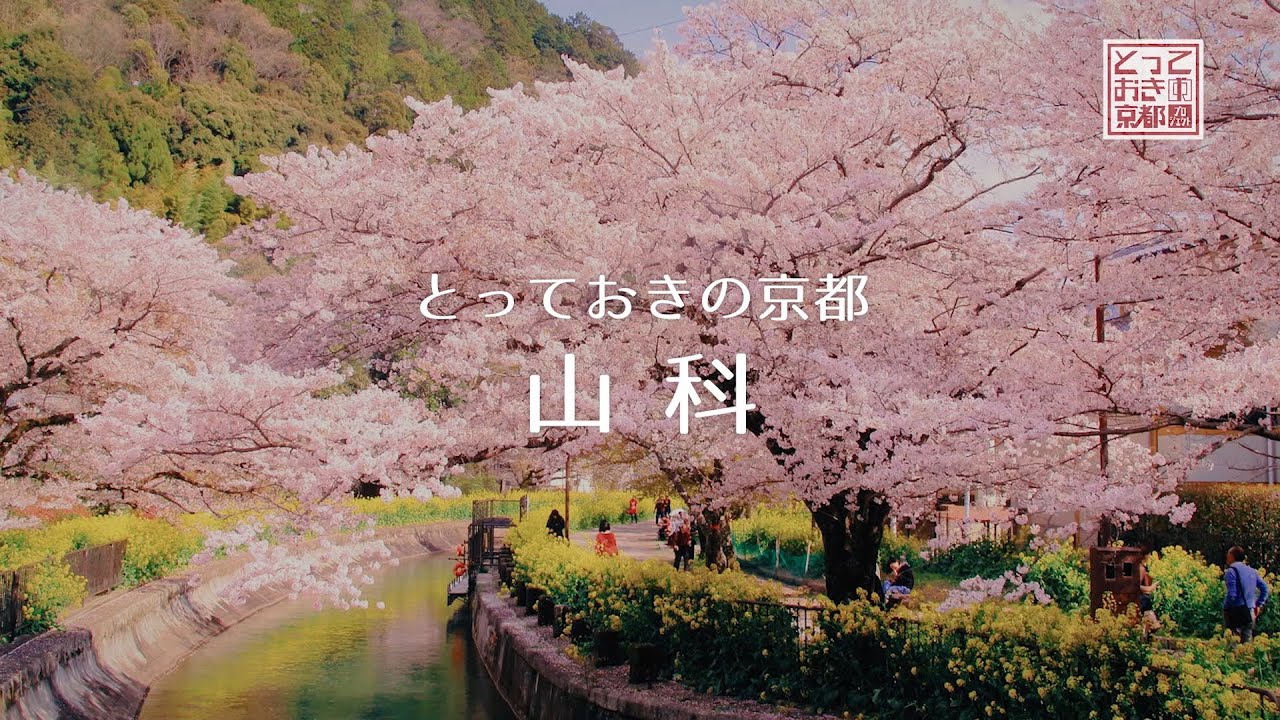 とっておきの京都プロジェクト 山科