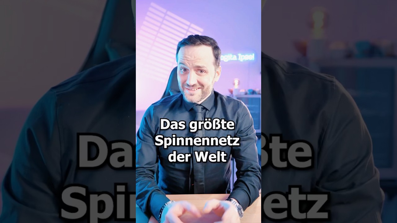 Das gr&ouml;&szlig;te Spinnennetz der Welt 🕸️