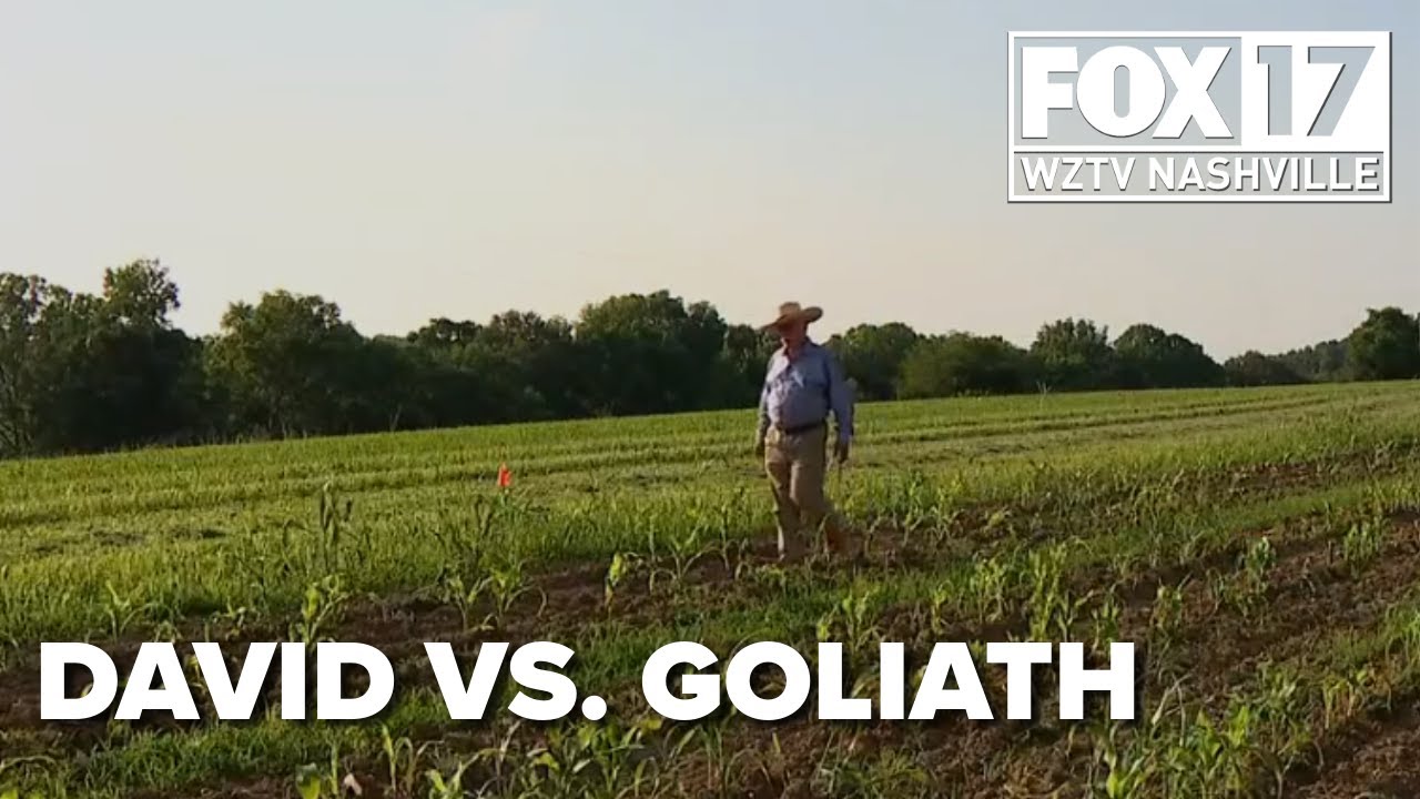 David vs. Goliath: TVA versus the people of Cheatham County
