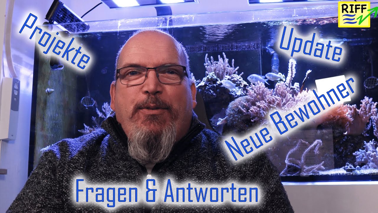 Update der Bewohner und neue Pläne sowie Fragen & Antworten