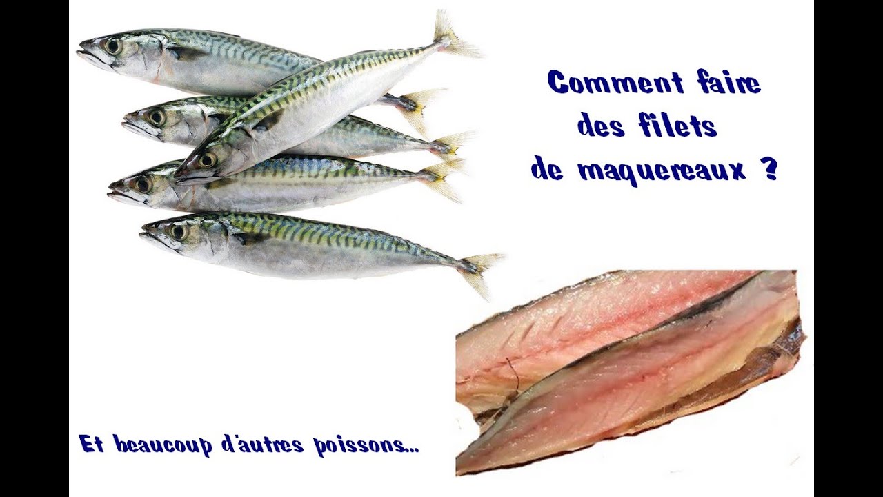 Comment faire des filets de poisson comme le maquereaux ?