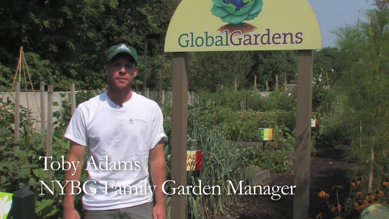 Global Gardens in the Family Garden