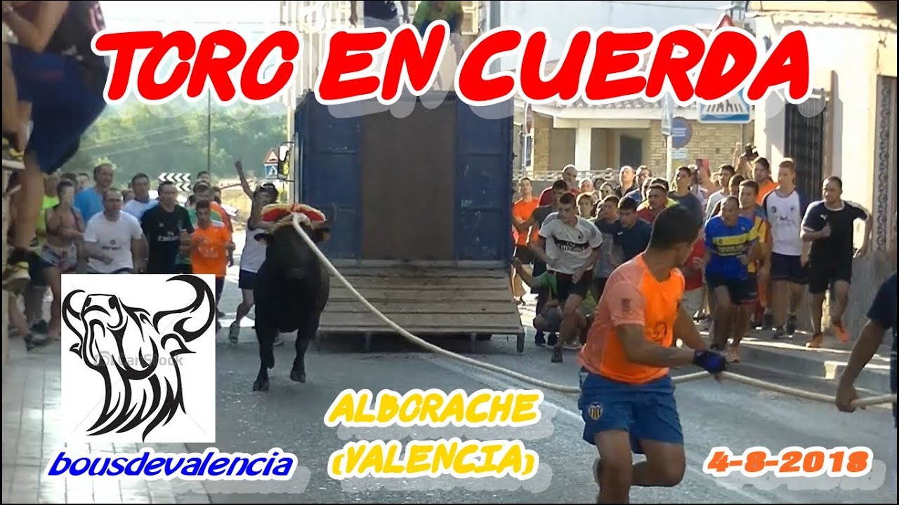 ALBORACHE (V) 2018 - TORO EN CUERDA DAVID ALFARO 4-8-2018