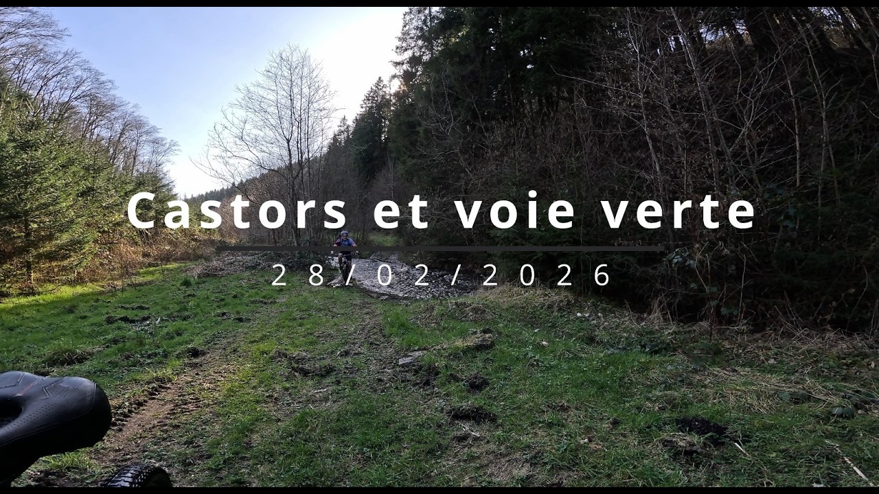 Castors et voie verte