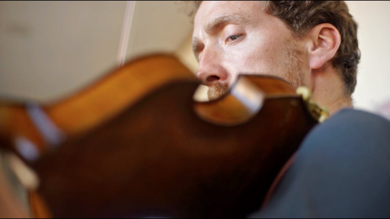 Colm Mac Con Iomaire ⚏ Bláth (Flower)