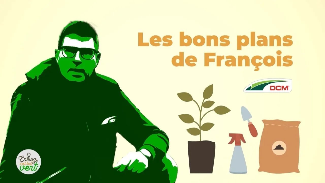 Plantes d'intérieur en Hiver: ce que vous devez savoir maintenant