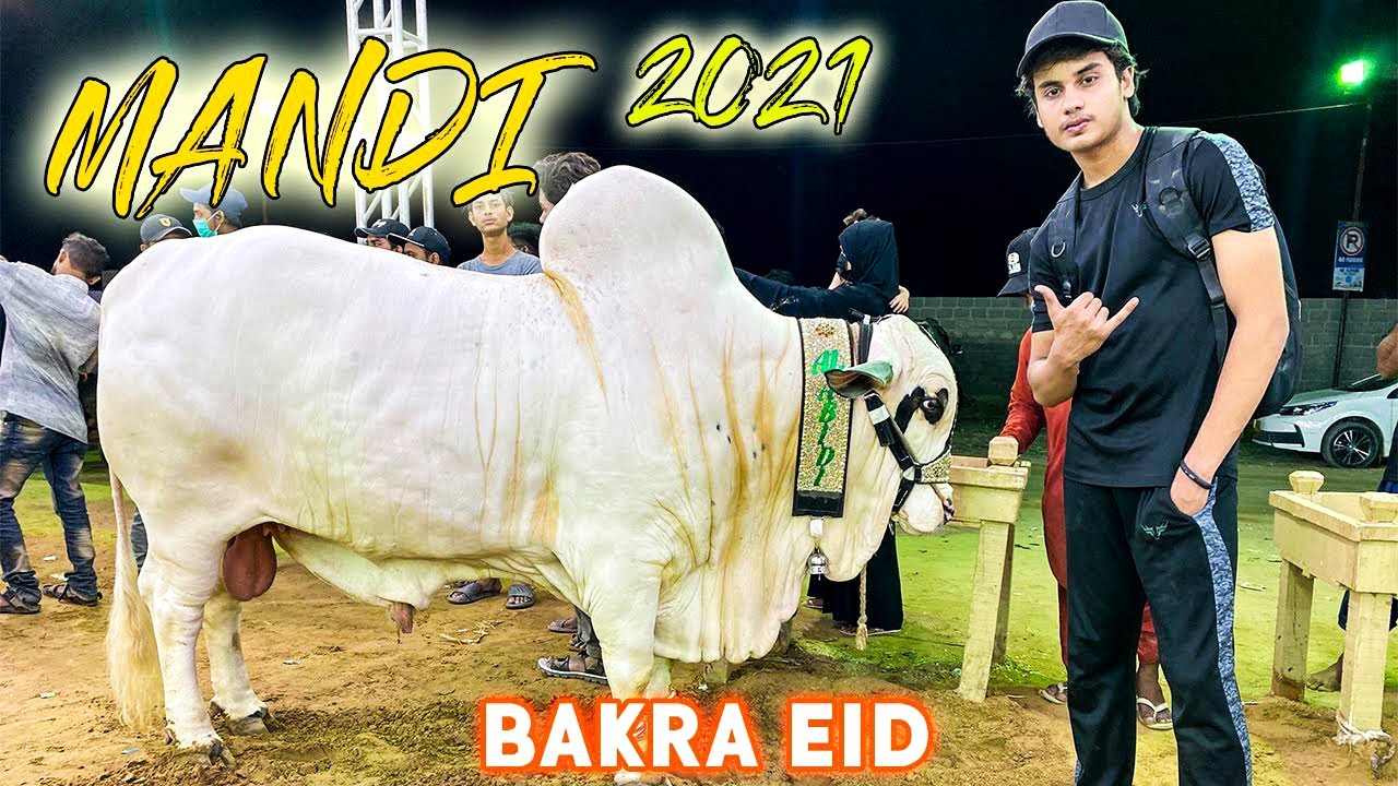 KARACHI COW MANDI 2021 | SOHRAB GOTH MANDI SUPER HIGHWAY | VLOG